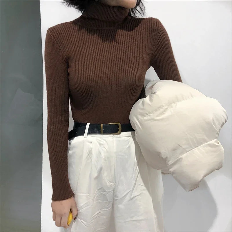 Women Turtleneck Sweater Knitted Soft Pullovers cashmere Jumpers Basic Solid Soft Sweaters Women Autumn Winter Casual Tops